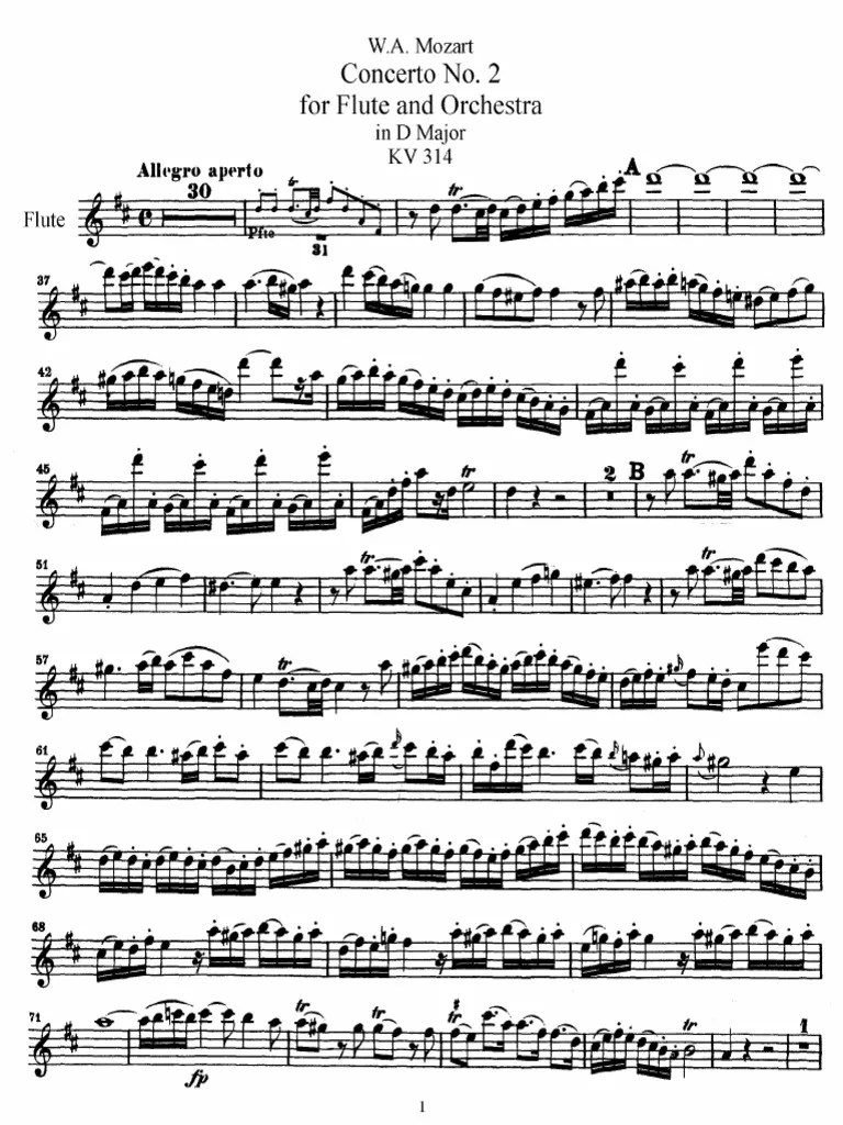 Mozart Flute Concerto in D Major, K.314 PDF