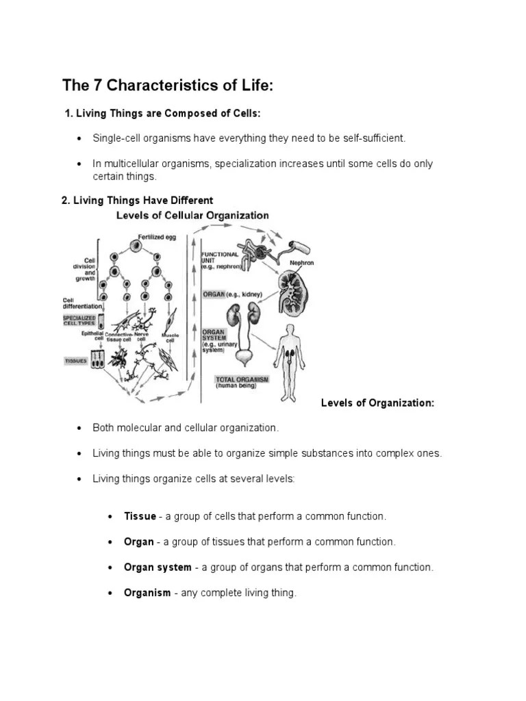 The 7 Characteristics of Life PDF
