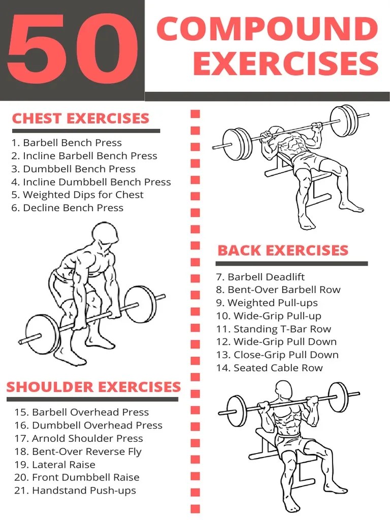 50 Compound Exercises Checklist Isolation Exercises PDF Weight Training Sports