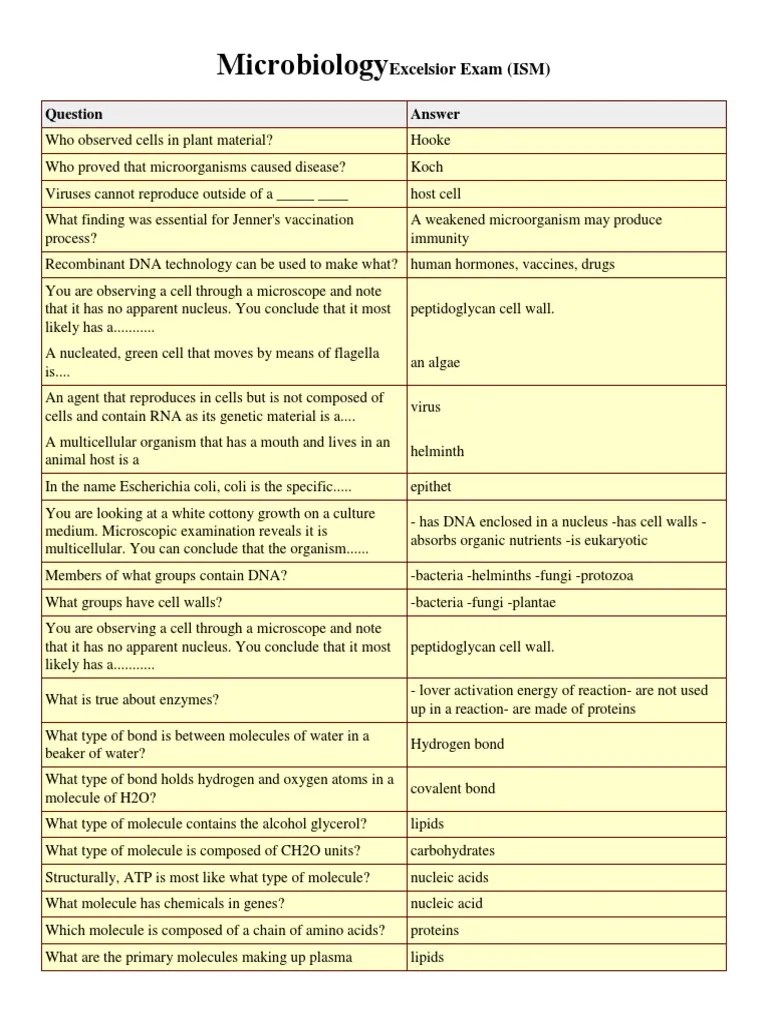 Flashcards Microbiology PDF Staining Immune System