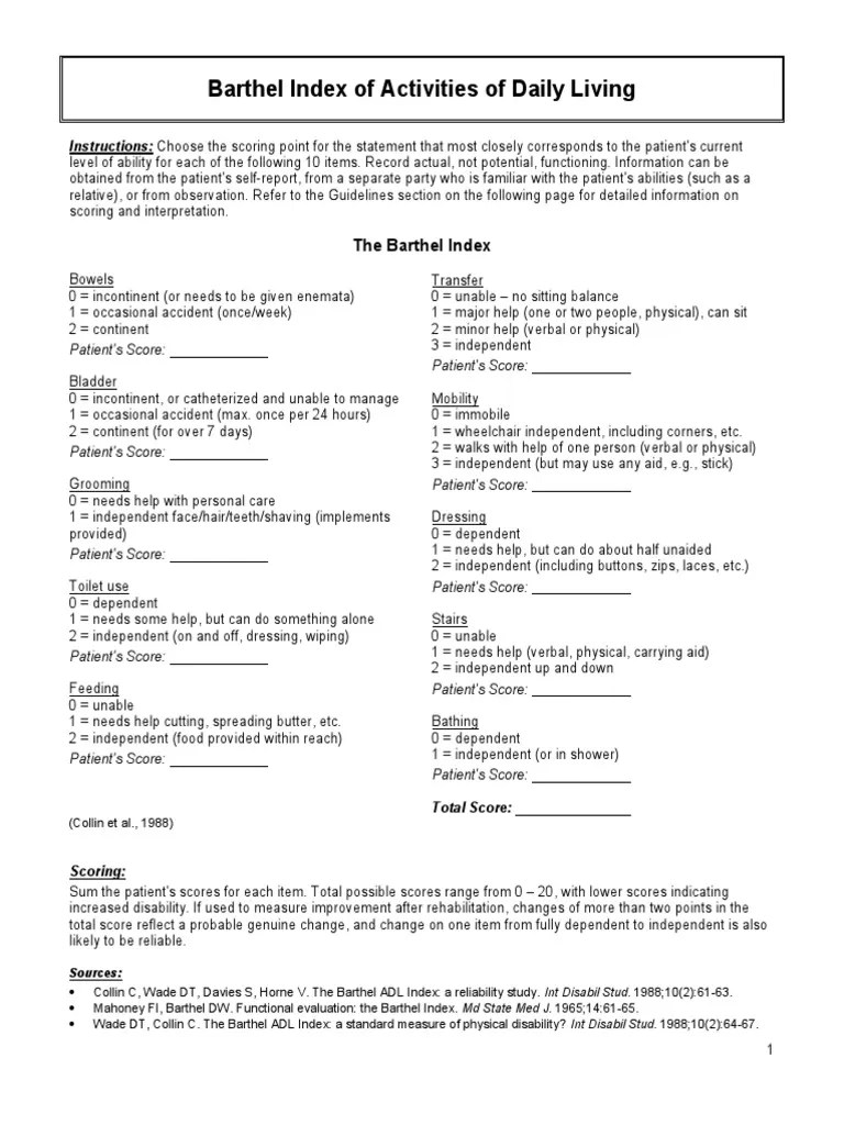 Barthel.pdf Appendix 3 MODIFIED BARTHEL INDEX (SHAH...