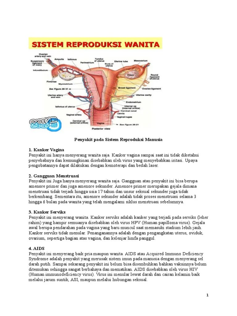 Penyakit Pada Sistem Reproduksi Manusia | PDF