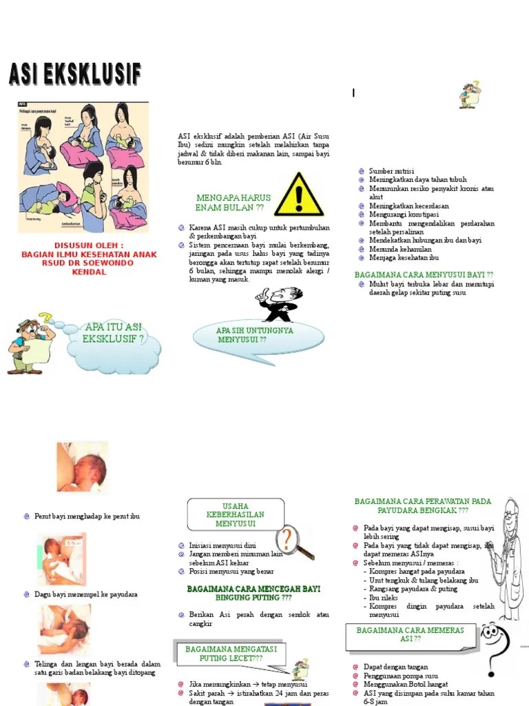 Leaflet Penyuluhan ASI | PDF