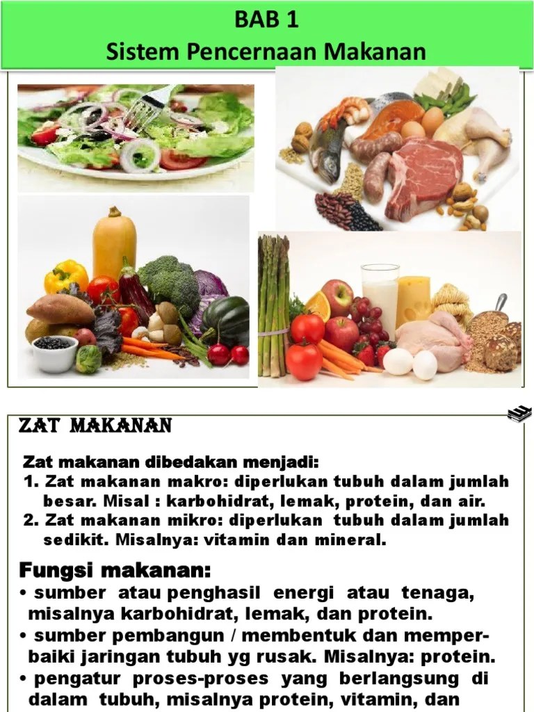 Macam Makanan | PDF