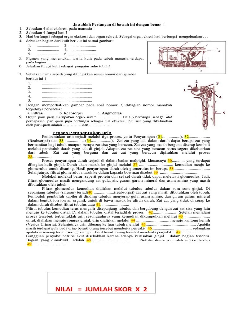 Jelaskan Peranan Kulit Sebagai Pengatur Suhu Tubuh - Ini Aturannya