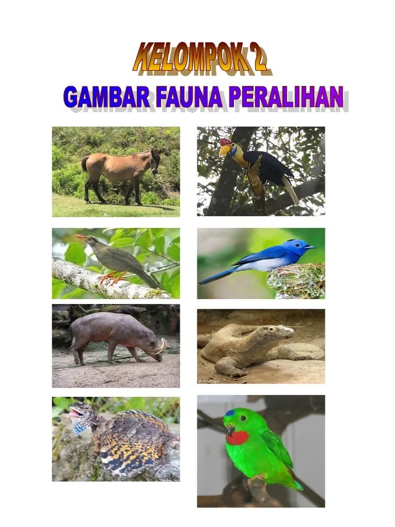 680+ Gambar Fauna Peralihan HD Terbaik - Gambar Hewan