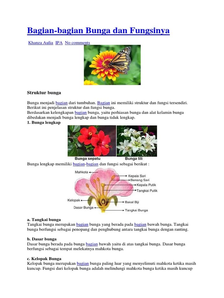 Bagian Bunga Dan Fungsinya | PDF