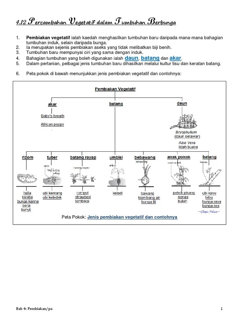 Tumbuhan Berbunga PDF | PDF