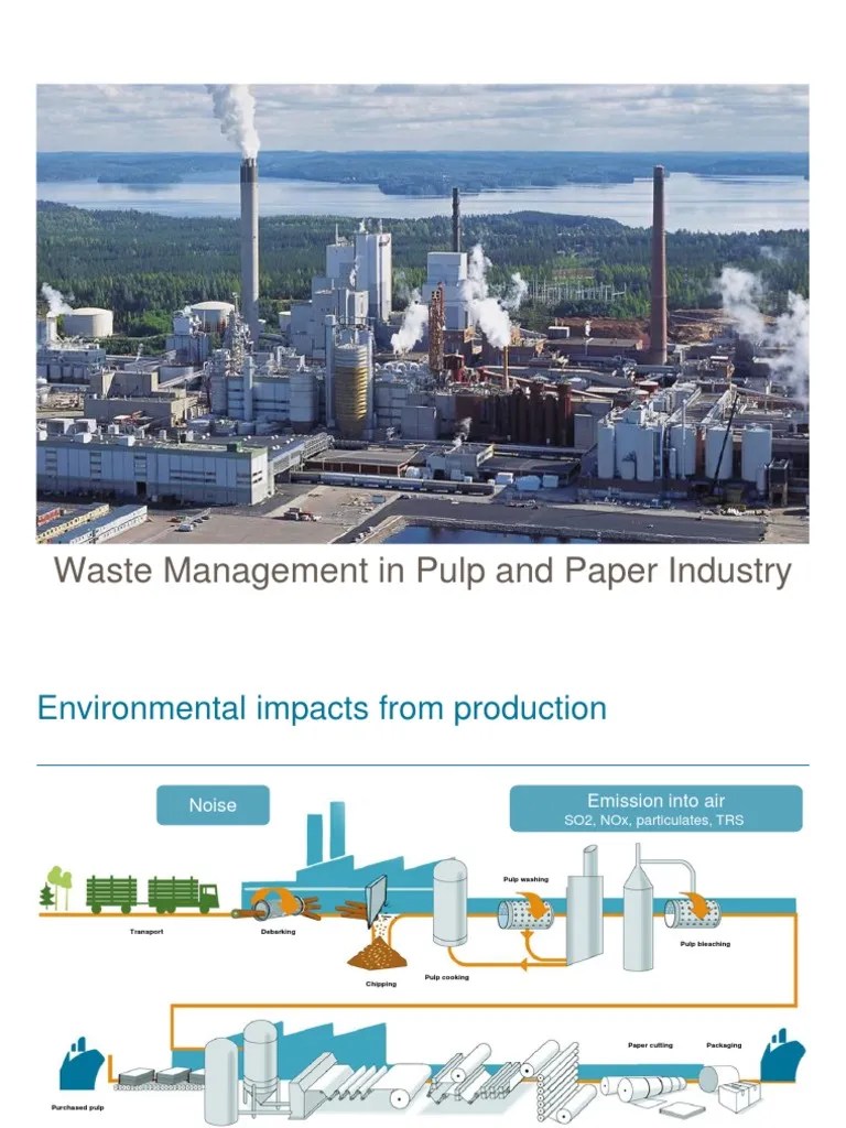 Pulp and Paper Industry PDF Municipal Solid Waste Recycling