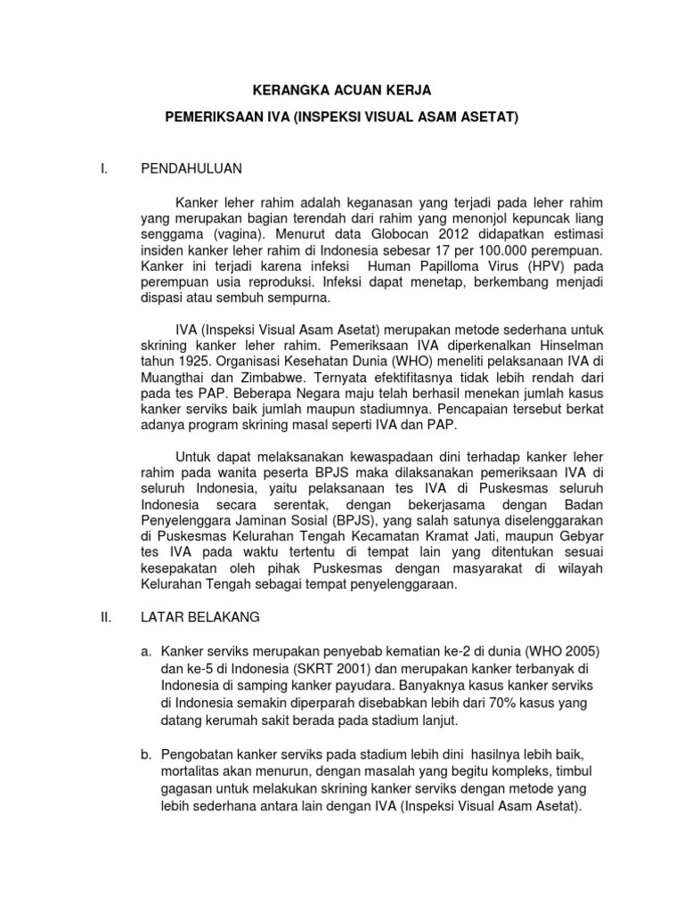 Kak Pemeriksaan Iva Tengah | PDF