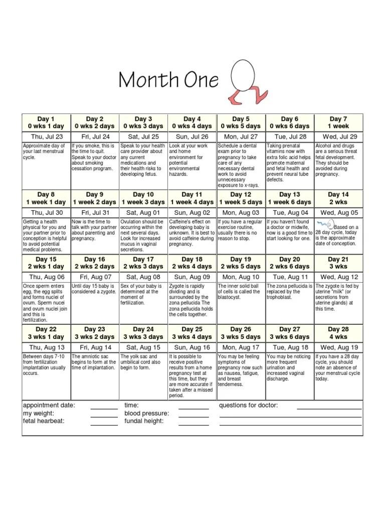 Printable Pregnancy Calendar Pregnancy Fertilisation