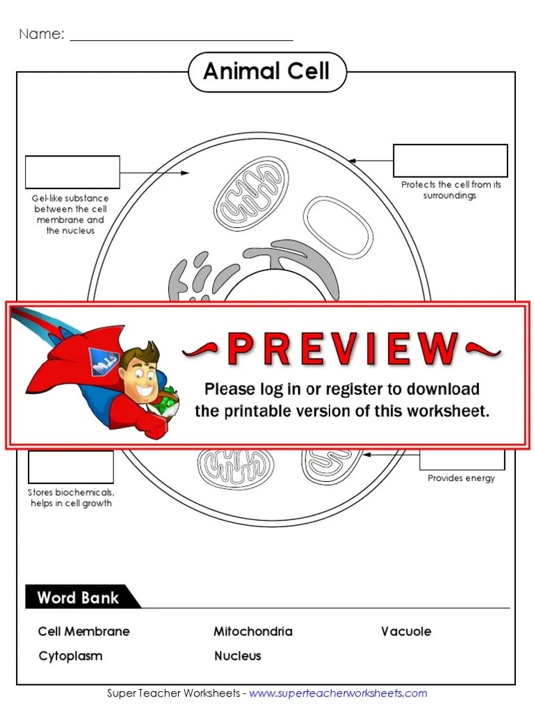 Atoms Family Worksheets