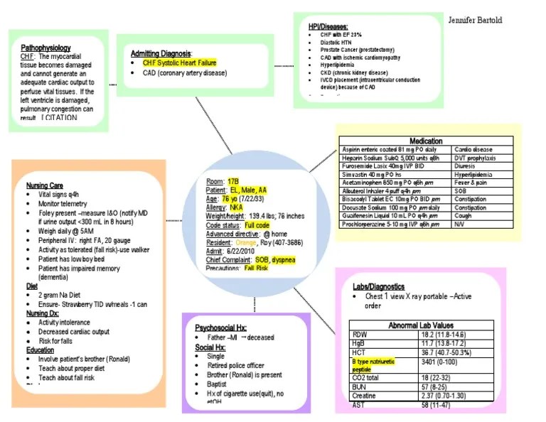 Nursing Concept Map Congestive Heart Failure CHF Concept Map