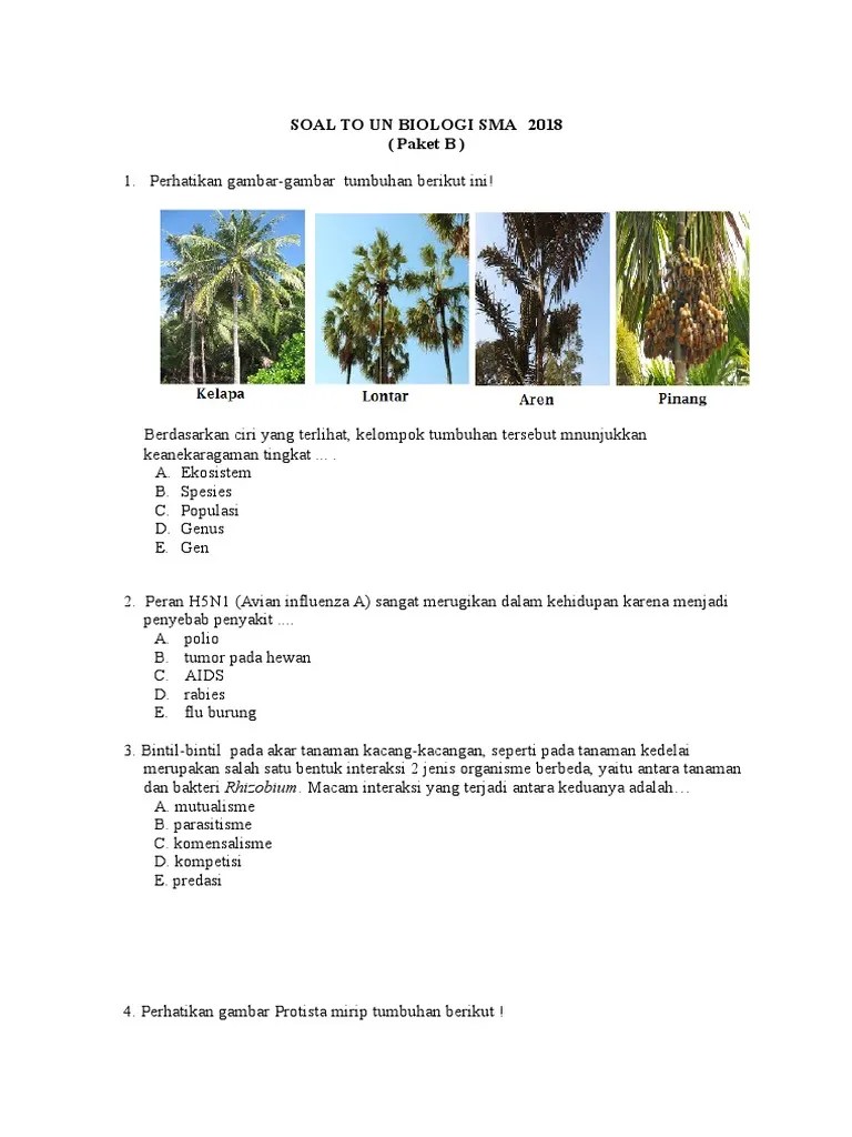 2. to Un Biologi Sma 2018 ( Paket b )
