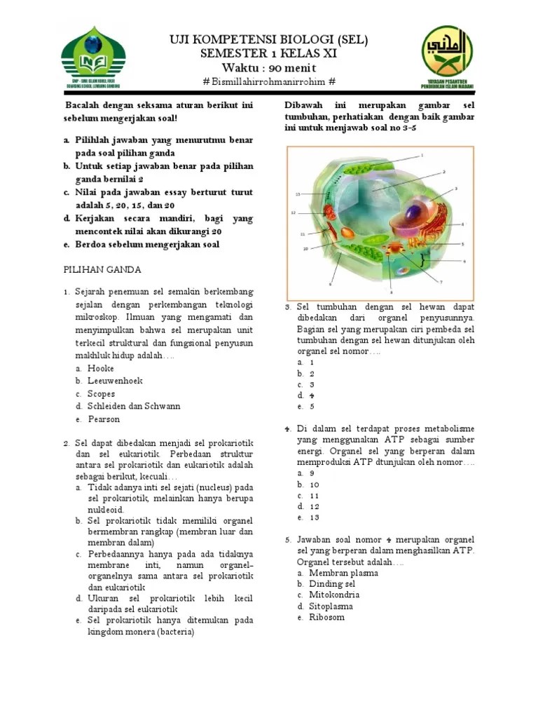 Soal Essay Biologi Tentang Sel Kelas 11 Dan Jawabannya – Pigura
