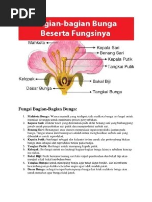 Fungsi Bagian Bunga | PDF
