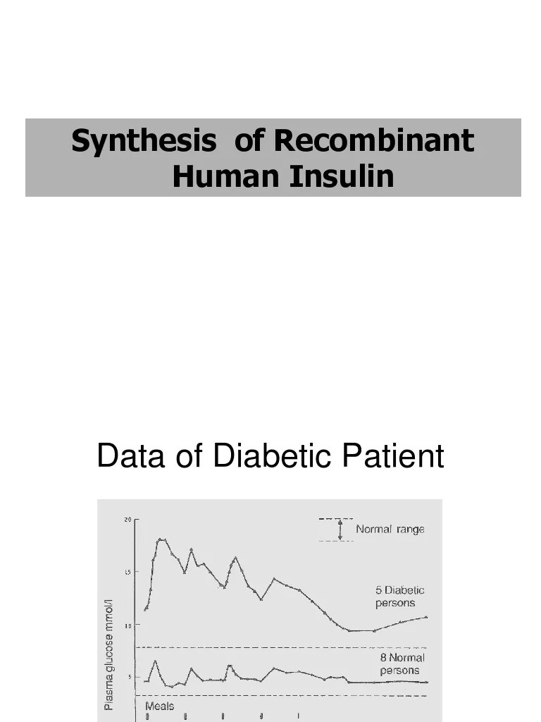 Synthesis of Human Insulin PDF