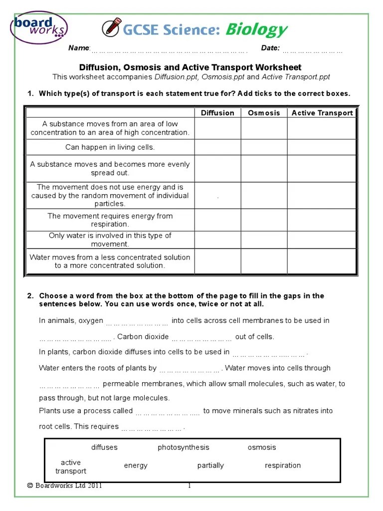 Diffusion Osmosis and Active Transport Worksheet Osmosis Diffusion