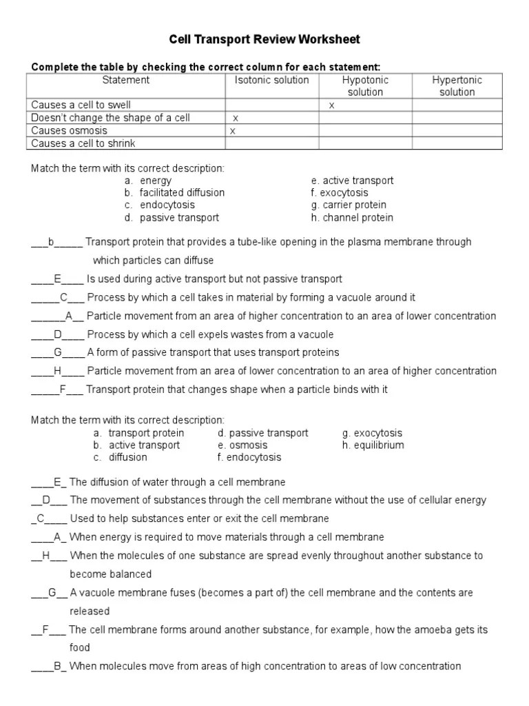 cell transport review worksheet 1 Osmosis Cell Membrane Free 30