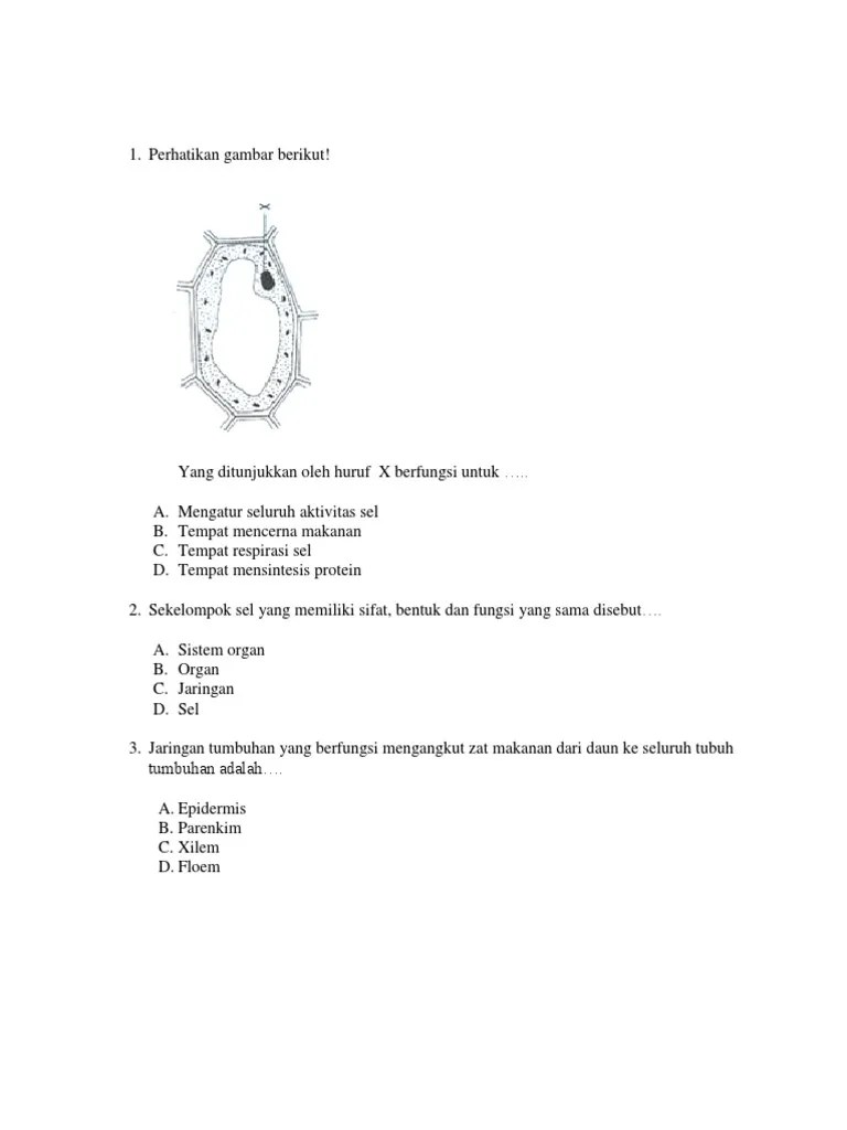 Sekelompok Sel Yang Memiliki Bentuk Dan Fungsi Yang Sama Disebut