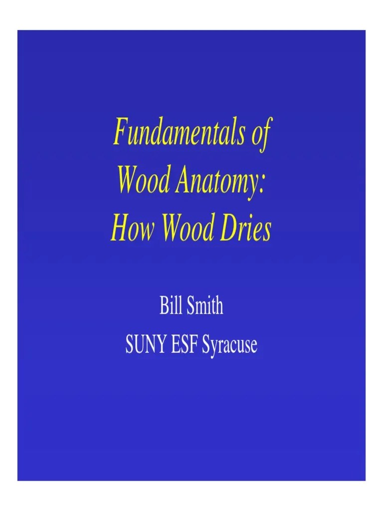 How Wood Dries Download Free PDF Wood Materials