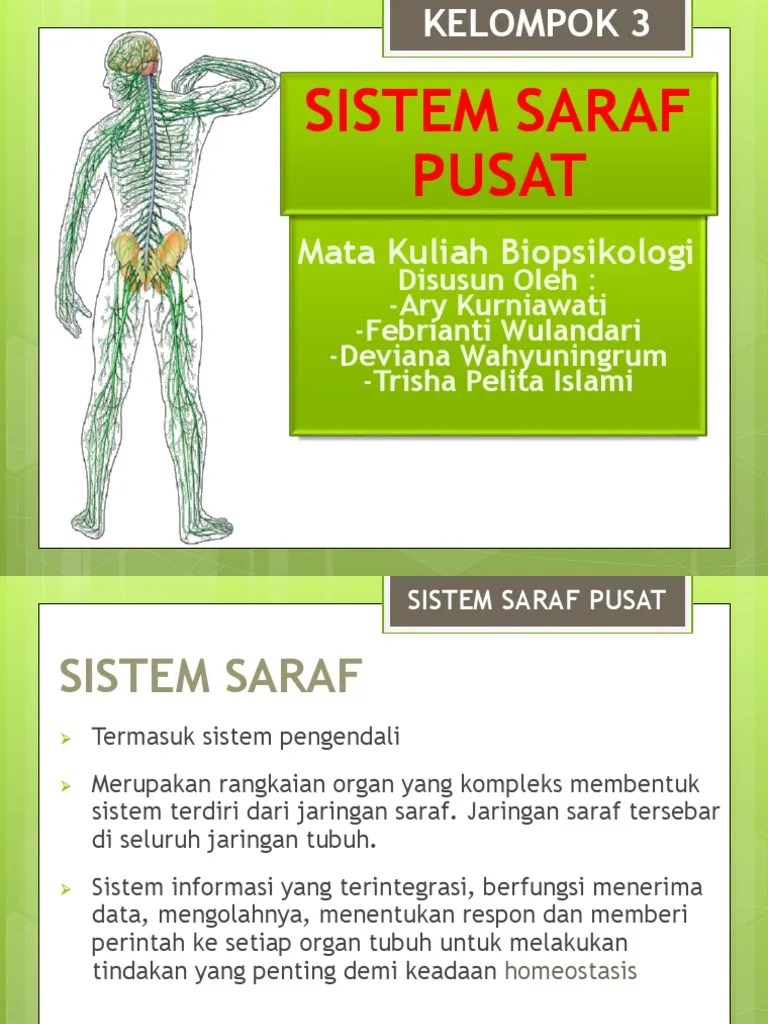 PPT FIX SISTEM SARAF PUSAT.pptx