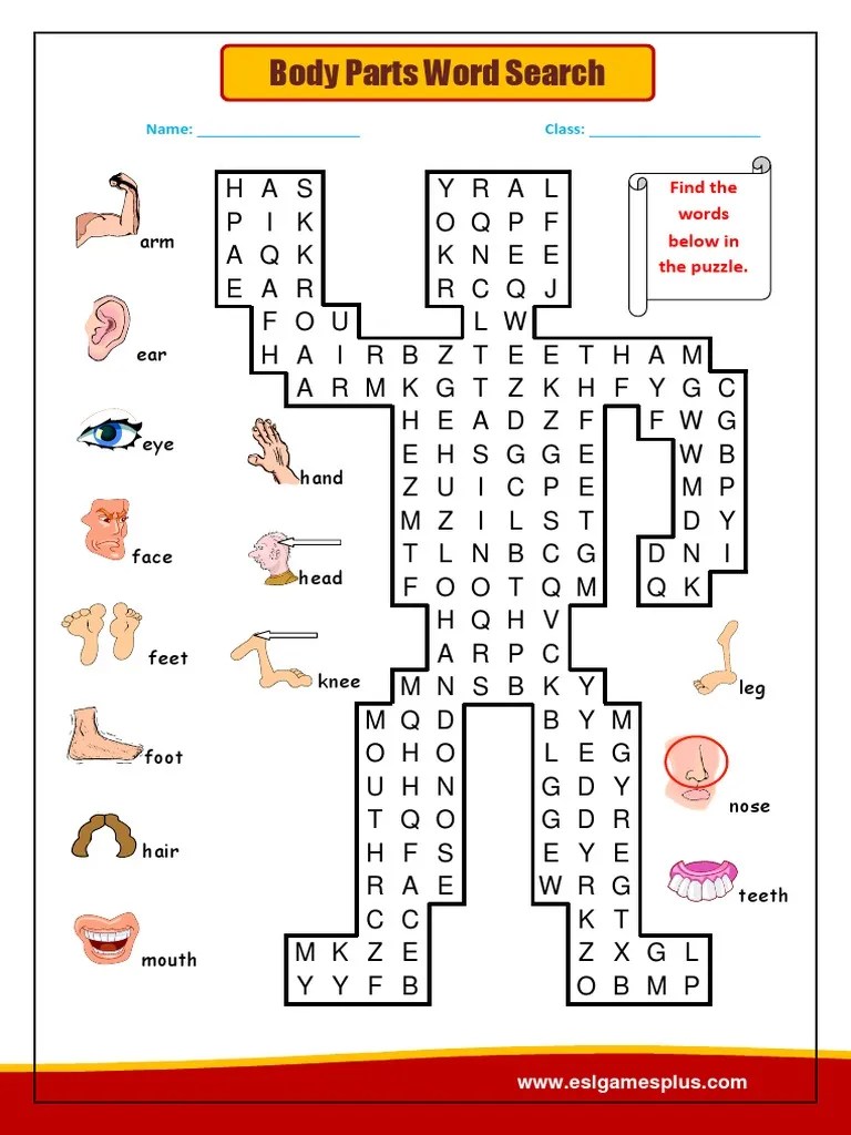 Body Parts Wordsearch