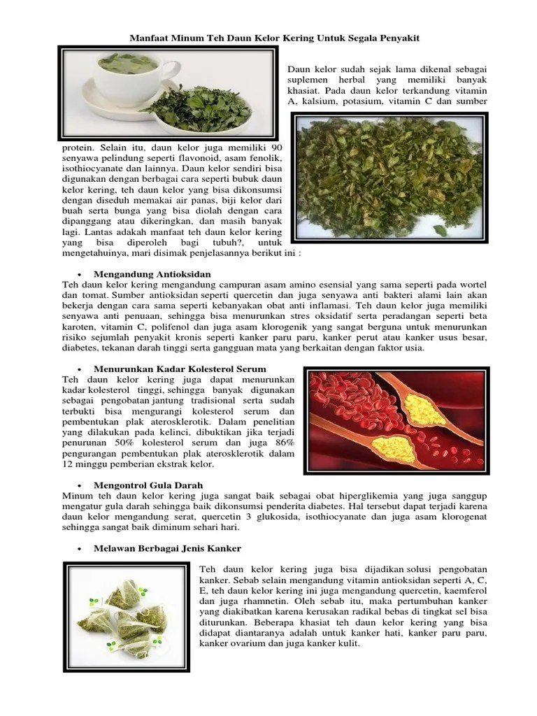 Manfaat Minum Teh Daun Kelor Kering Untuk Segala Penyakit PDF