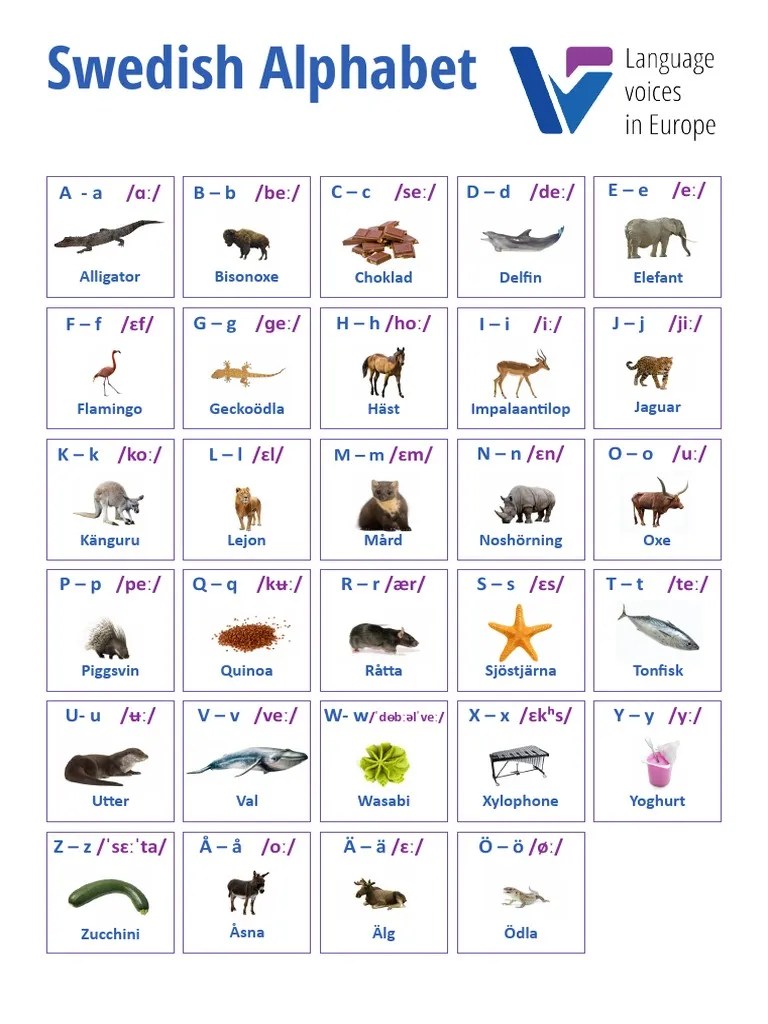 Illustrated Alphabet Swedish PDF
