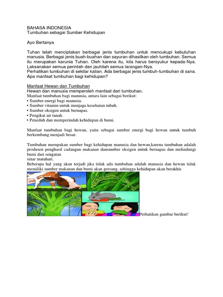 9700 Koleksi Gambar Manfaat Air Bagi Hewan Dan Tumbuhan Gratis Terbaik -  Gambar Hewan