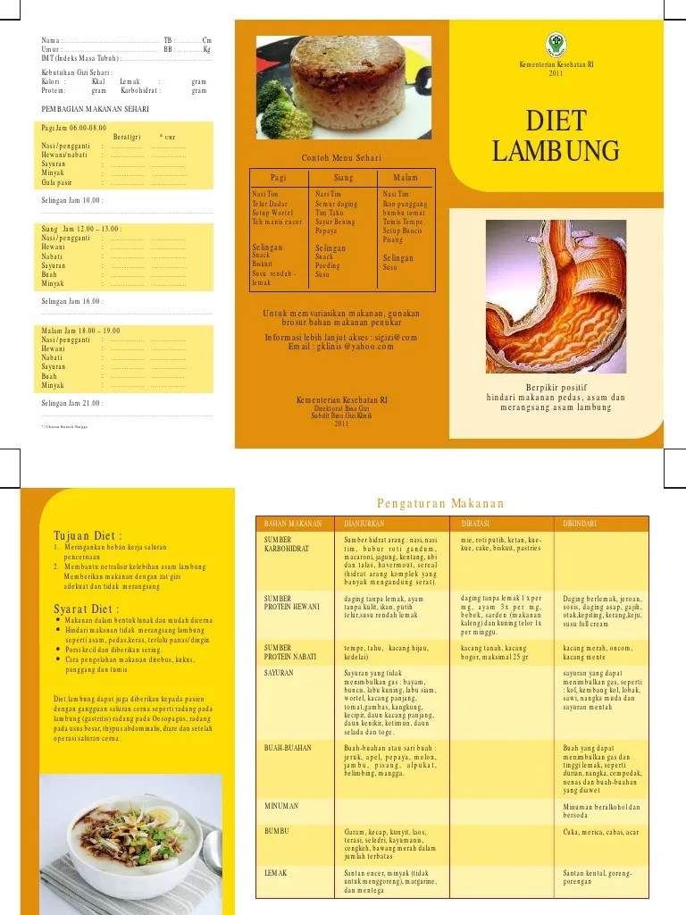 Leaflet Diet Rendah Protein Kemenkes Cara Diet Cepat 2020