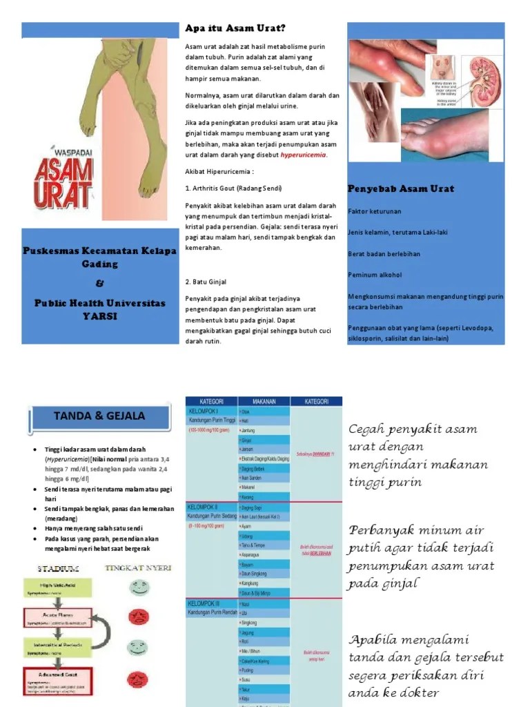 Brosur Asam Urat | PDF