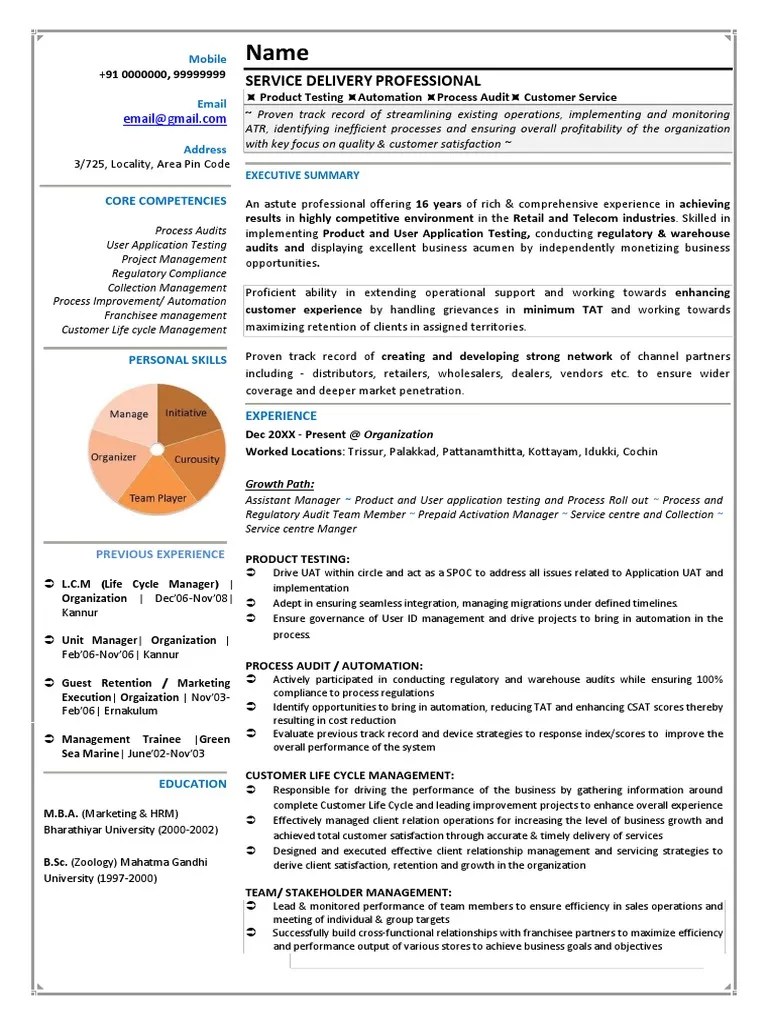 Service Delivery Professional Core Competencies PDF Audit Automation