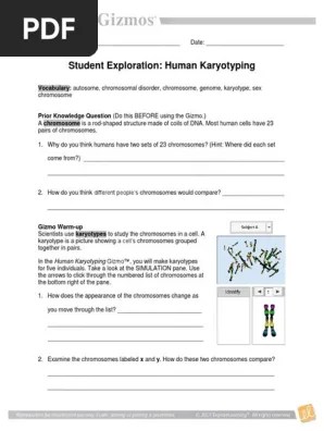 Student Exploration Human Karyotyping Gizmo Gizmo Lab 3 Docx Name Hayley Kissel Sarah Black Carson Rios Date Student Exploration Crumple Dubai Khalifa In The Human Karyotyping Gizmo You Will Make