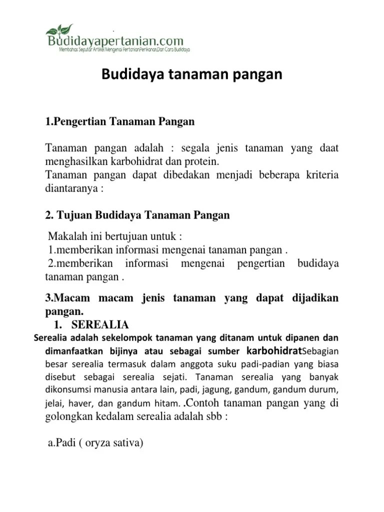 Budidaya Tanaman Pangan | PDF