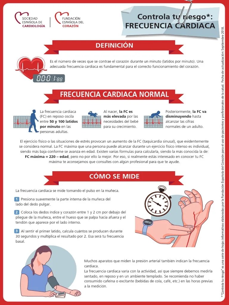Frecuencia Cardiaca Ritmo cardiaco Corazón