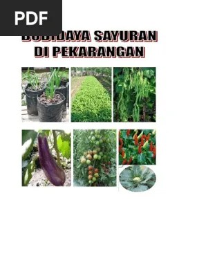 Budidaya Sayuran Di Pekarangan, Brosur Buku | PDF