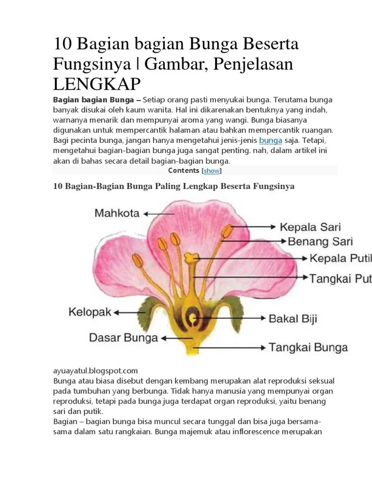 Bagian Bagian Bunga Beserta Fungsinya | PDF