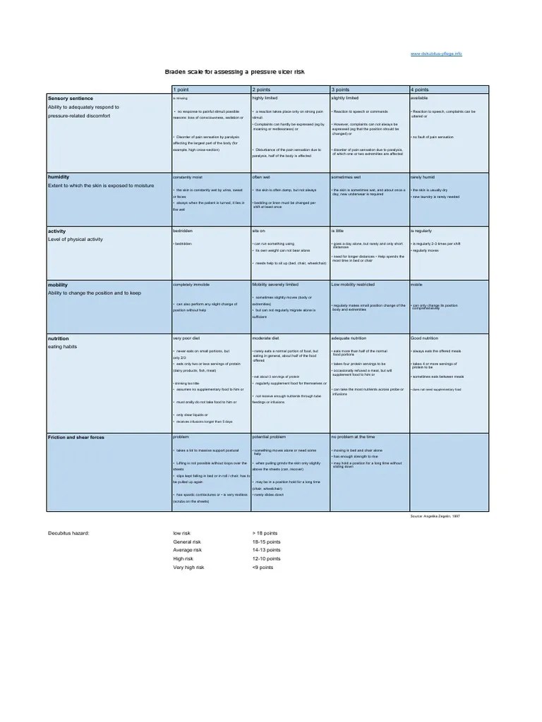 Braden Skala De.en PDF Eating Pain