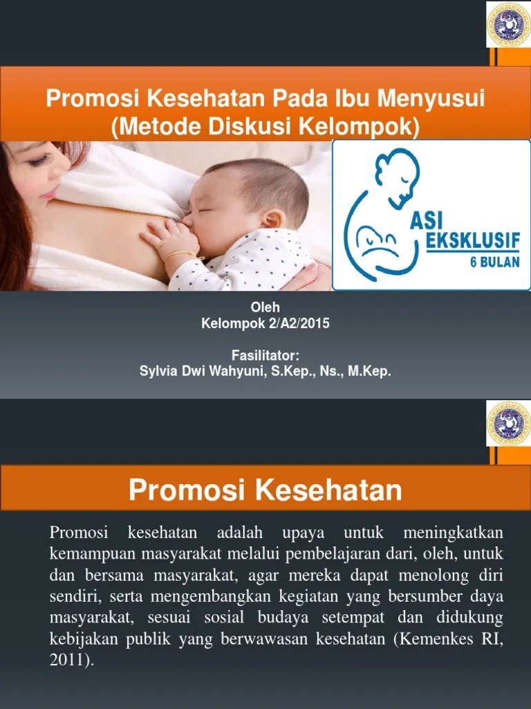 Promosi Kesehatan Pada Ibu Menyusui | PDF