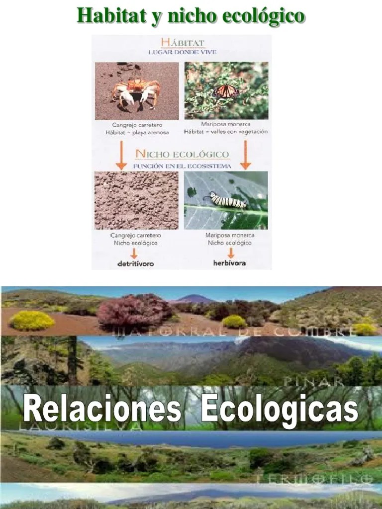 Habitat Nicho Ecológico