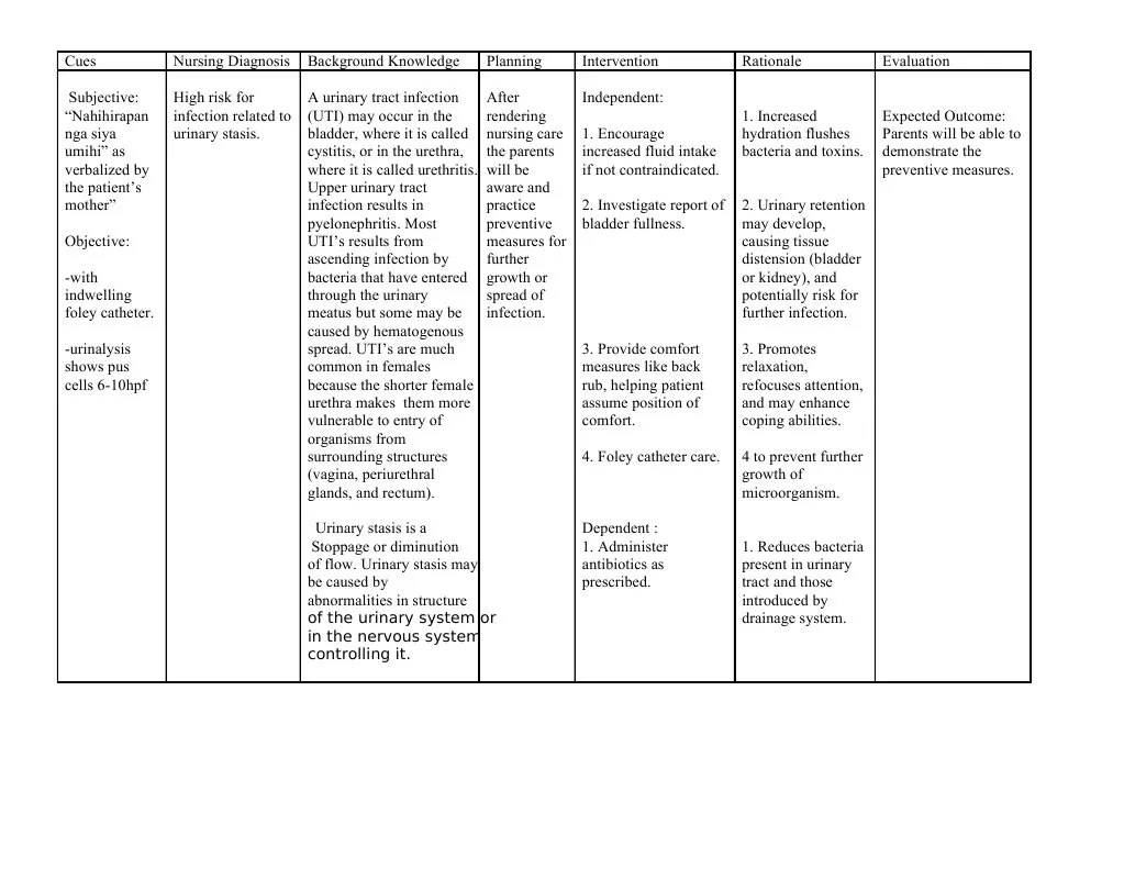 ncp uti (1) Urinary Tract Infection Urinary System