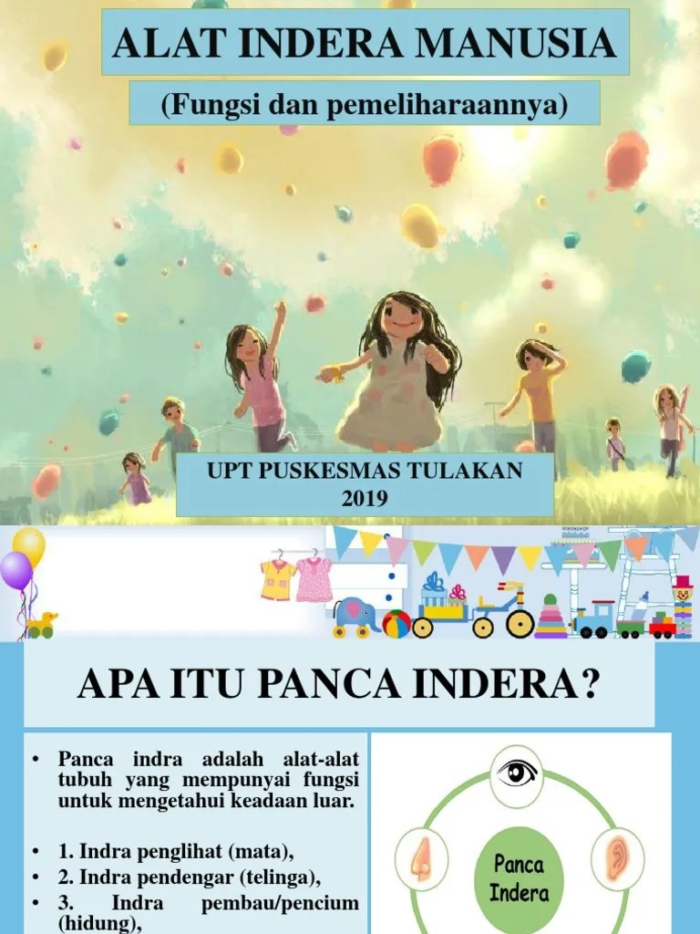 Alat Indera Manusia | PDF