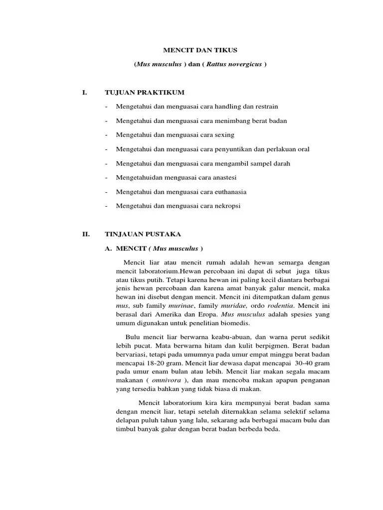 Laporan Ilmu Hewan Lab | PDF