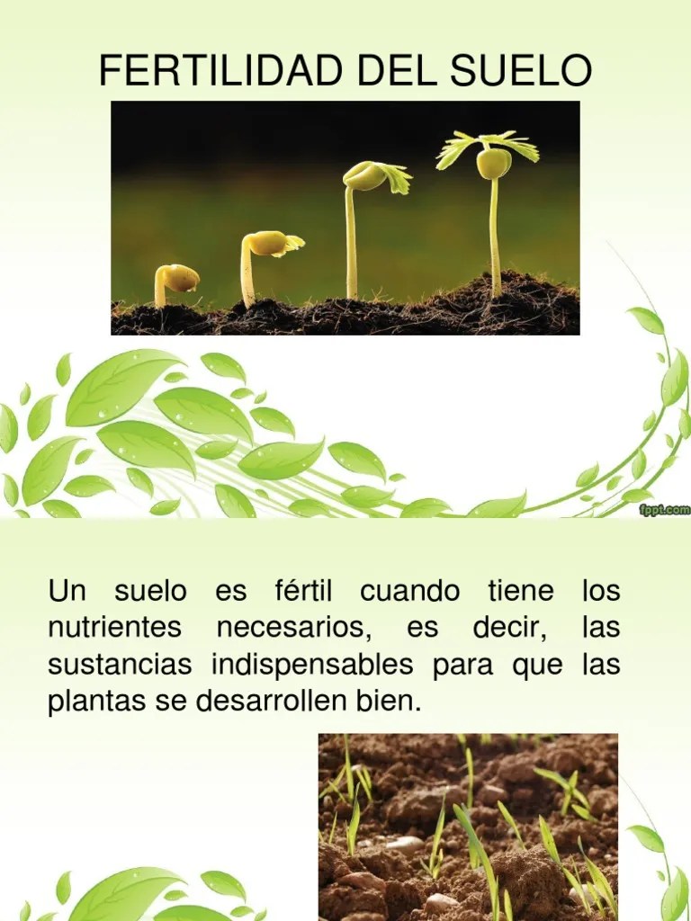 Fertilidad en el suelo Suelo Oxígeno