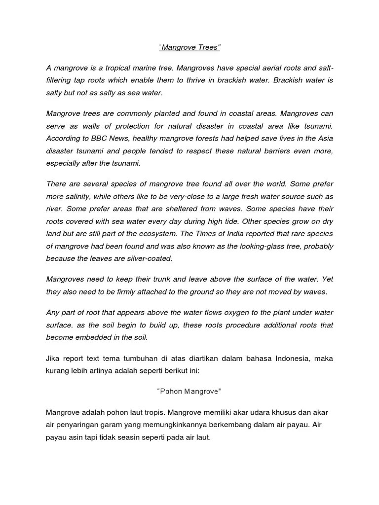 Contoh Report Text Tentang Bencana Alam Bahasa Inggris