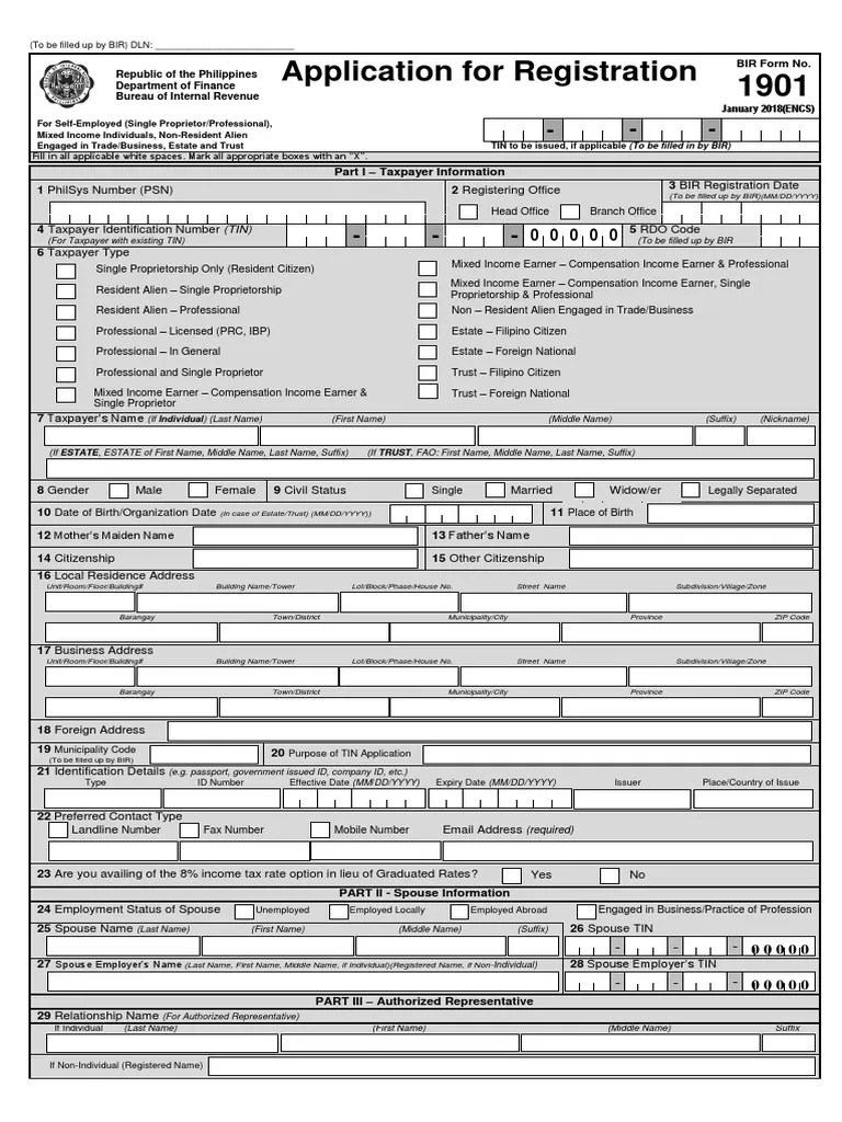 Application For Registration Taxpayer Identification Number (TIN) PDF Receipt Sole