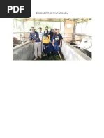 Mengidentifikasi Ciri Fisik Serealia Della | PDF