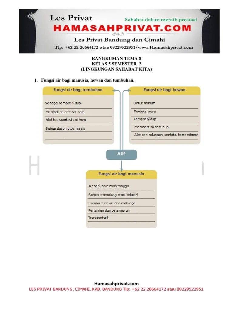 Fungsi Air Bagi Hewan - Lecafe