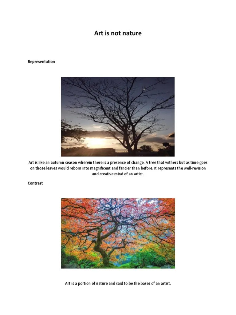 Art Is Not Nature PDF